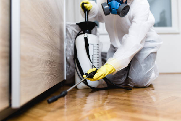Trusted Ocilla, GA Pest Control Experts