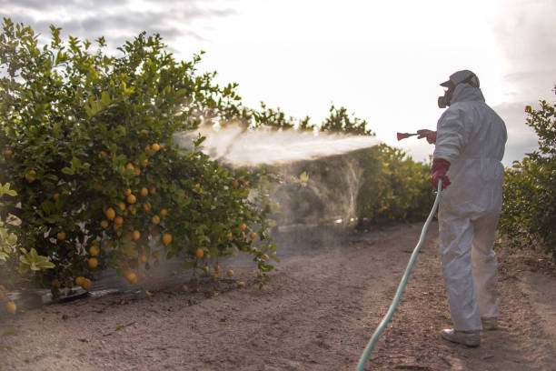 Best Pest Control Near Me in Ocilla, GA