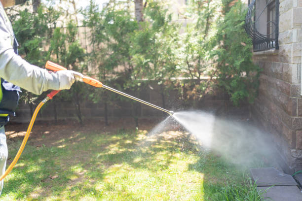 Best Best Pest Control Companies  in Ocilla, GA