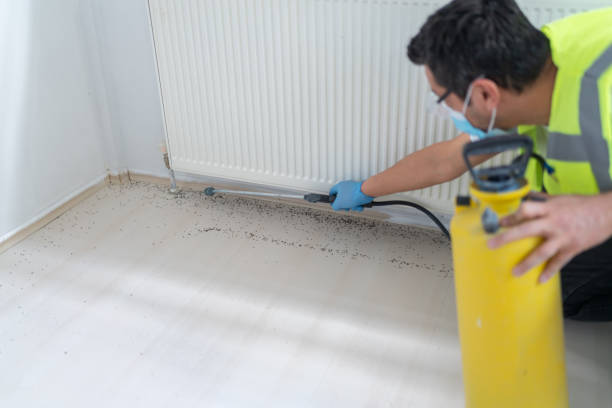 Best Wasp Removal Services  in Ocilla, GA